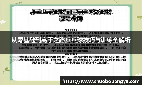 从零基础到高手之路乒乓球技巧与训练全解析