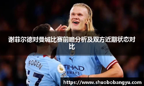 谢菲尔德对曼城比赛前瞻分析及双方近期状态对比